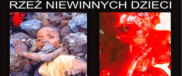 Jedna z plansz wystawy 