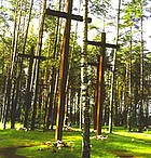 Krzyże w lesie katyńskim upamiętniające zamordowanych polskich oficerów.