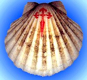 Muszla, symbol szlaku do Santiago de Compostela.