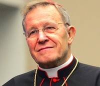 Kard. Walter Kasper.