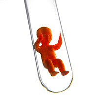 Baby design - kolejny krok w rozwoju in vitro.