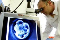 Test zbada poziom hormonów wytwarzanych przez  jajniki.