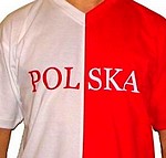 Najczęściej z antypolonizmem spotykają się emigranci, wynika z sondażu Gfk Polonia.
