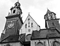 Czy Wawel podzieli Polaków?