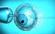 Luteranie popierają in vitro w myśl ewangelicznej etyki.